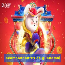 acompanhantes de guanambi